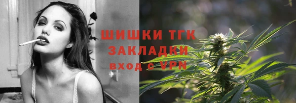 молекула духа Волоколамск
