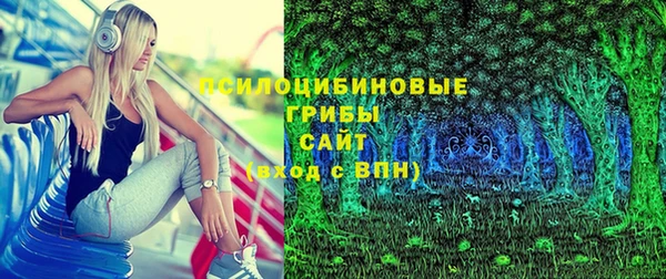 молекула духа Волоколамск