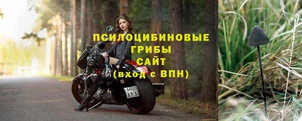молекула духа Волоколамск