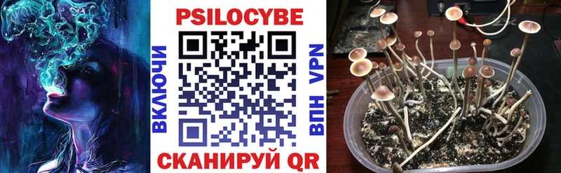 Галлюциногенные грибы мицелий  KRAKEN сайт  Таганрог 